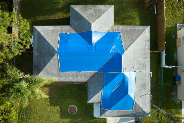 Best Storm Damage Roof Repair  in Greendale, IN