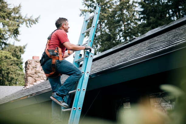 Best Green or Eco-Friendly Roofing Solutions  in Greendale, IN